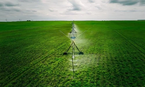 pivot