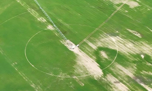 pivot