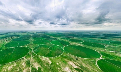 pivot coverage