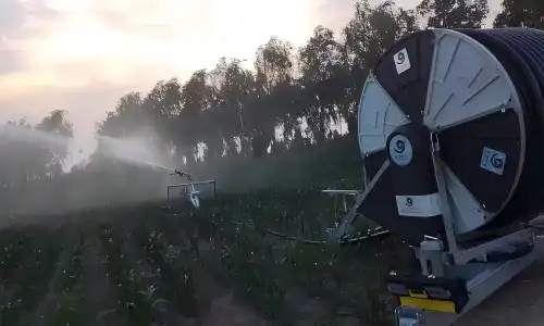 hose reel_field